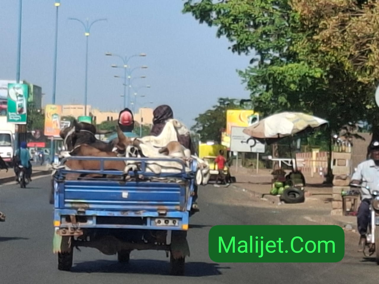 Fête de l'Eid al-Fitr : Un souffle économique pour les petits commerces à Bamako